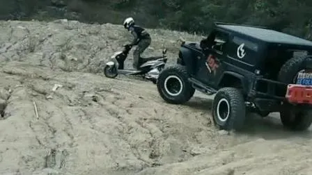 Long Range Adult 1000W 48V Electric Motorcycle Scooter