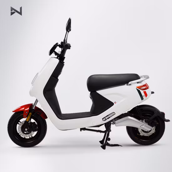 Long Range Adult 1000W 48V Electric Motorcycle Scooter