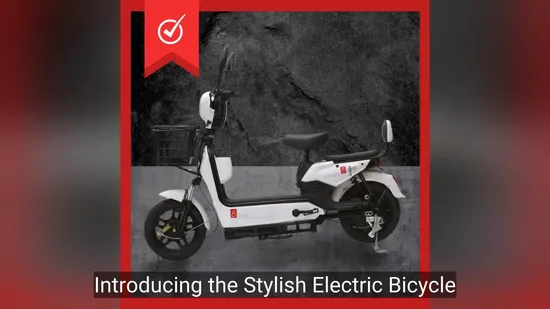 Kds DC04 Elagship Elektroroller/Elektrofahrrad, abnehmbarer Sitz, Pendler-Elektroroller