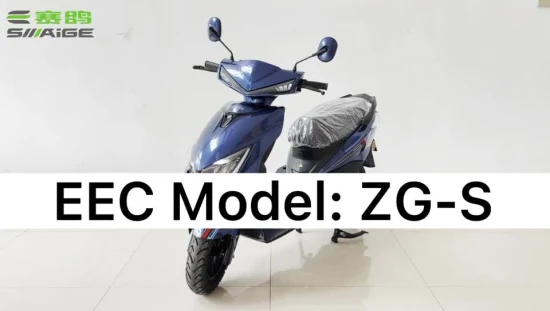 Saige EEC-zertifizierte 72V20ah-Blei-Säure-Batterie oder Lithium-Batterie, 2000-W-Elektromotorrad mit Straßenzulassung