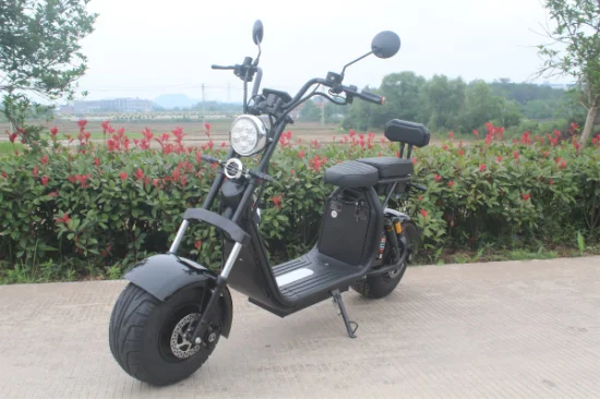 Fat Boy High Speed ​​Widewheel Fronttasche Moto 1500 W 2000 W 3000 W Electrica Elektro-Motorrad Roller Citycoco